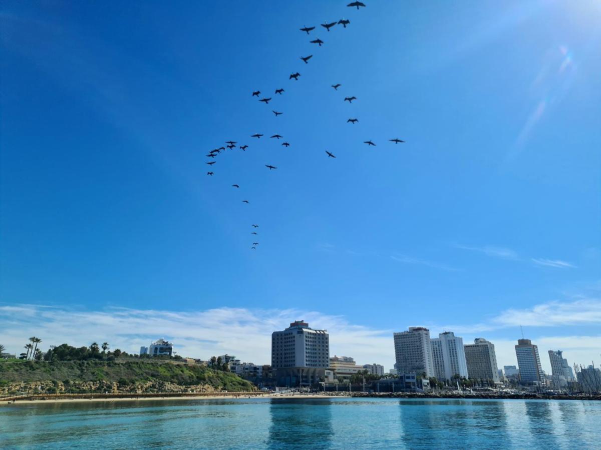 תל אביב Lapin 9 - By Beach Apartments Tlv מראה חיצוני תמונה